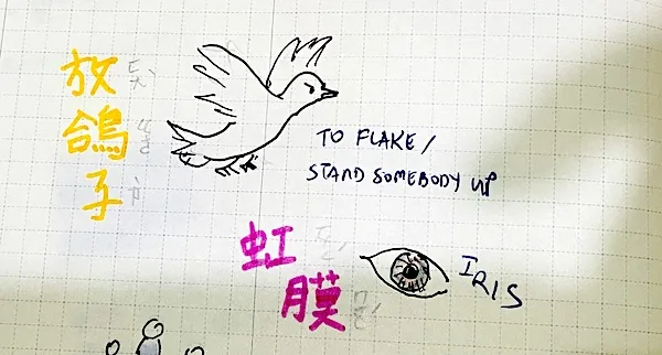 放鸽子: to release the pigeon (to flake on somebody)