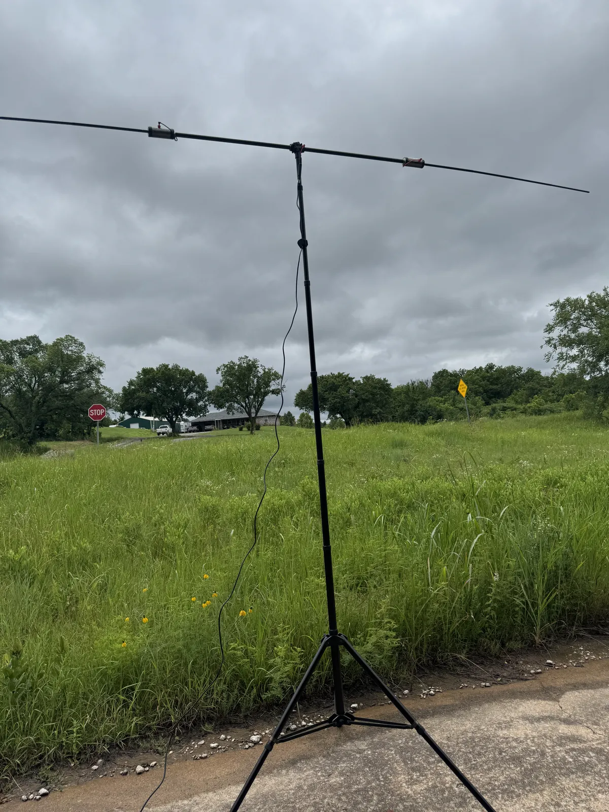 The Buddipole antenna on a tripod mast.