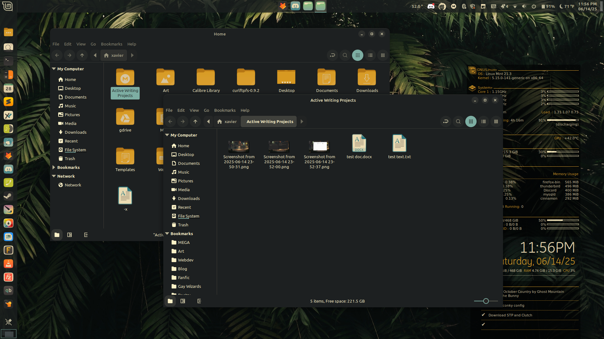 Screenshot from 2025-06-14 23-56-10