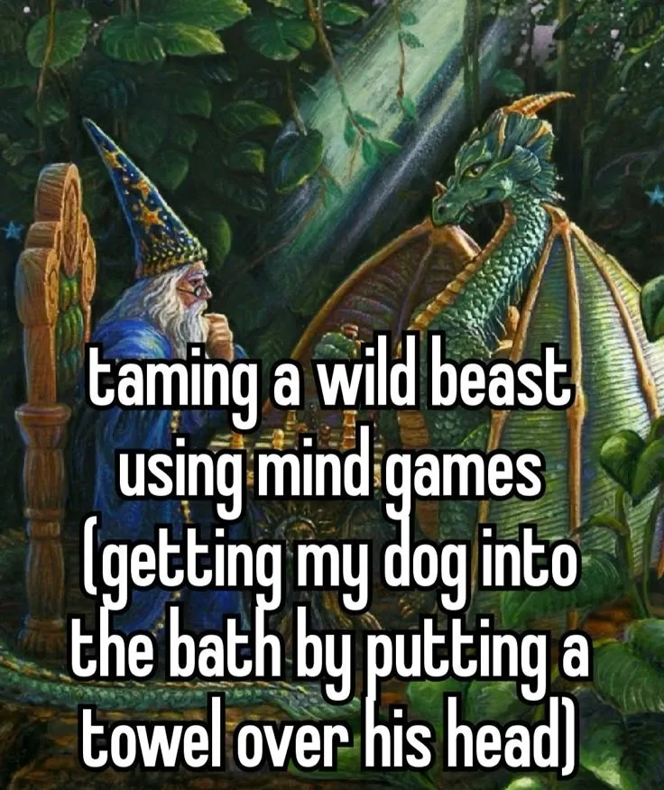 d306c7040e122df0574f28951023e205