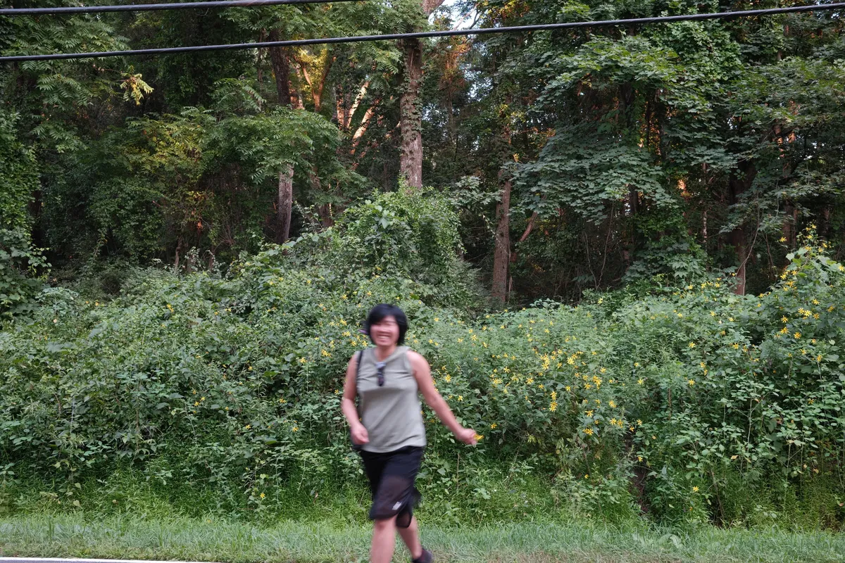 Blurry and frolicking with a flower in my hair, August 2025 by Amar