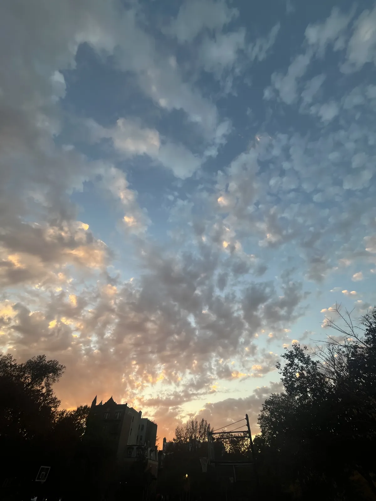 A ring of trees and a tall brownstone is silhouetted against a blue gradient sky spotted with little puffy clouds, some of which are catching gold at their edges