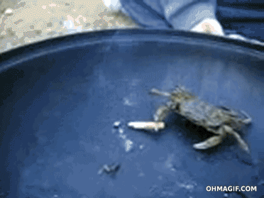 A crab holding a cigarette, as if smoking it