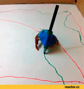 A crab "drawing" by dragging a pen affixed to it with a 3d-printed harness around a piece of paper