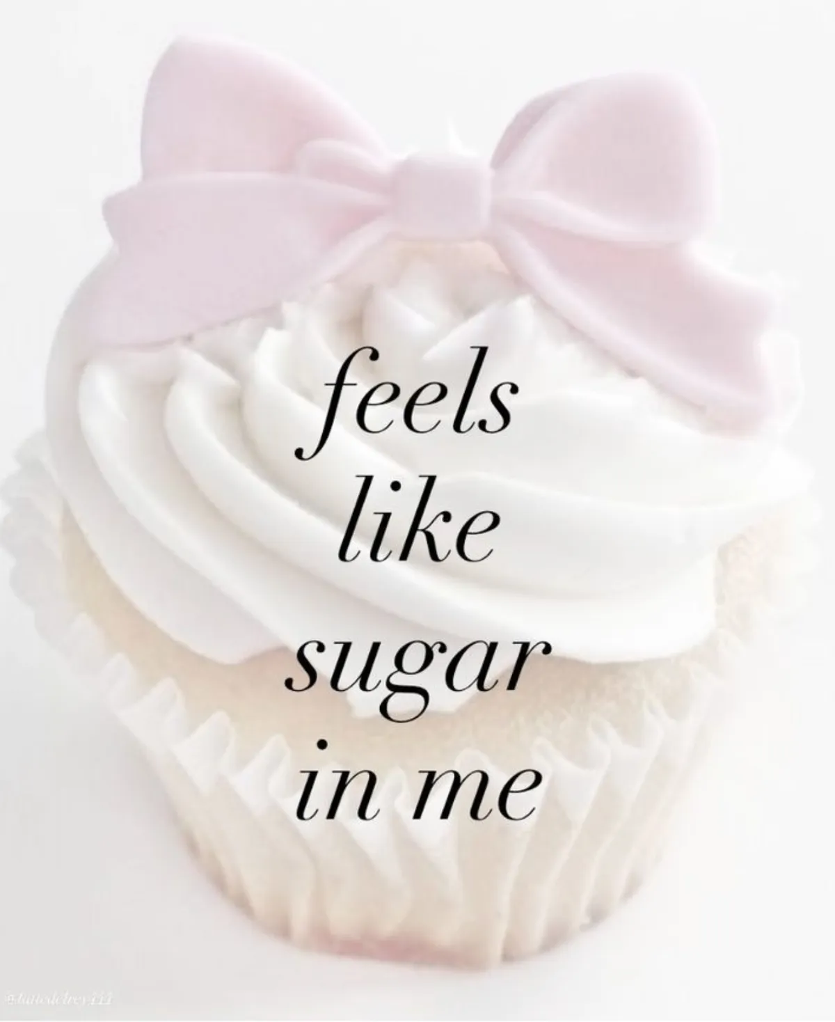 Screenshot 2026-02-03 at 11