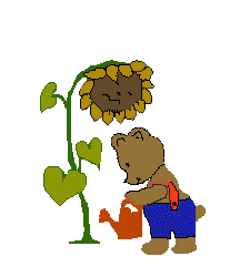 XWXYTNAKWO4ORPZA3SAYIVTPFKME7VSP