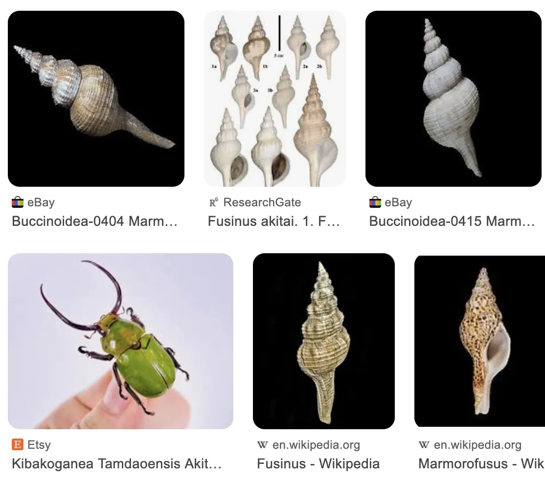 Screenshot 2025-10-26 at 10