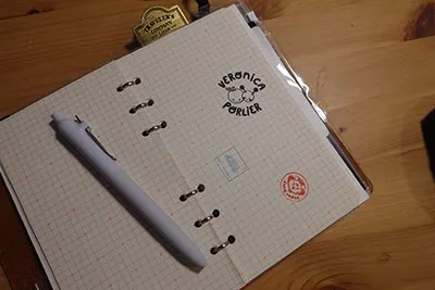 Paper with 3 stamped designs DSC01433