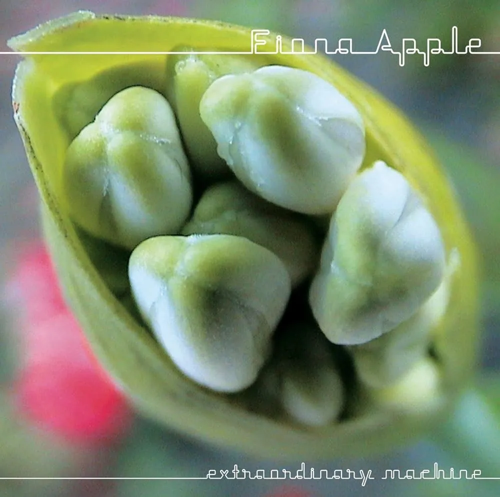 Album cover for Extraordinary Machine by Fiona Apple