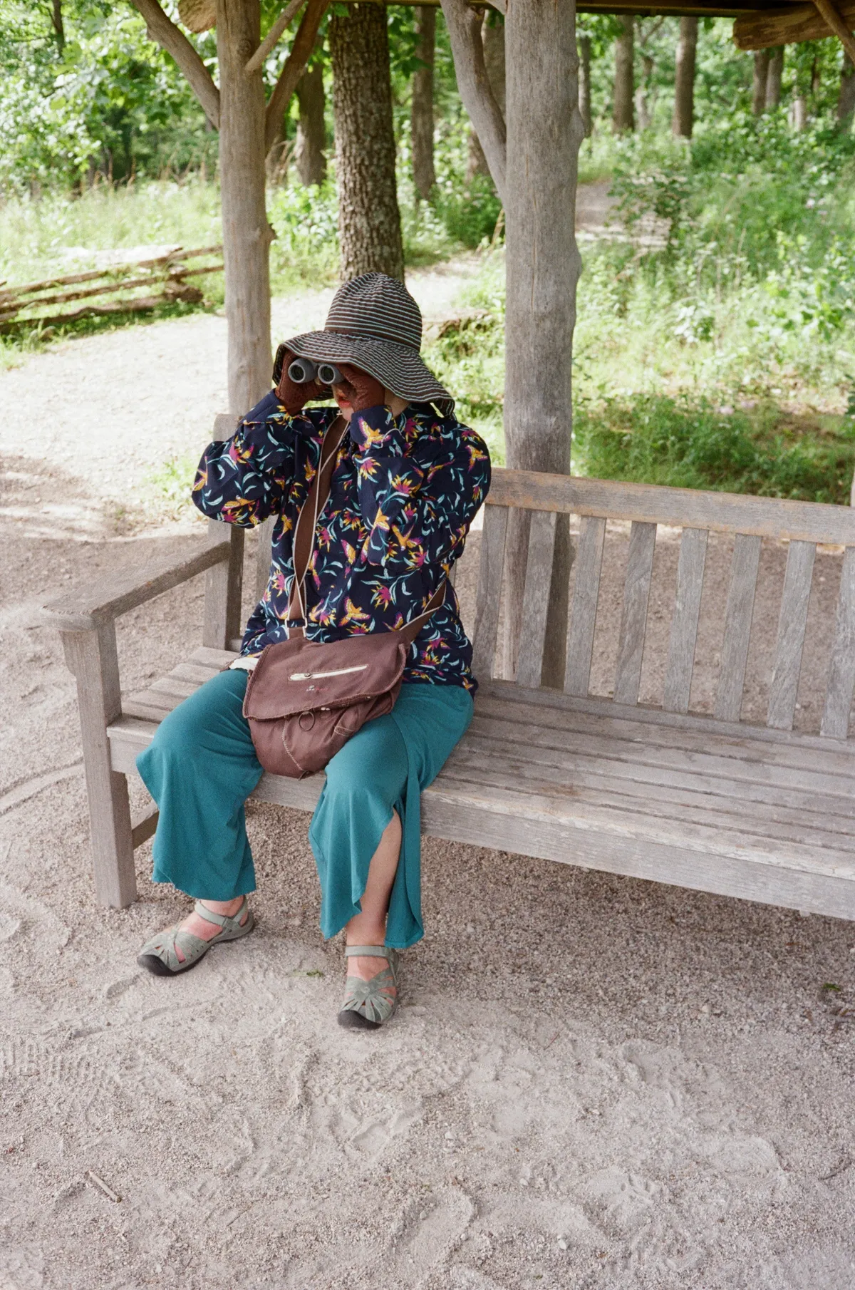 A rare posted photo of L., viewing from an overlook at Shaw Nature Reserve.