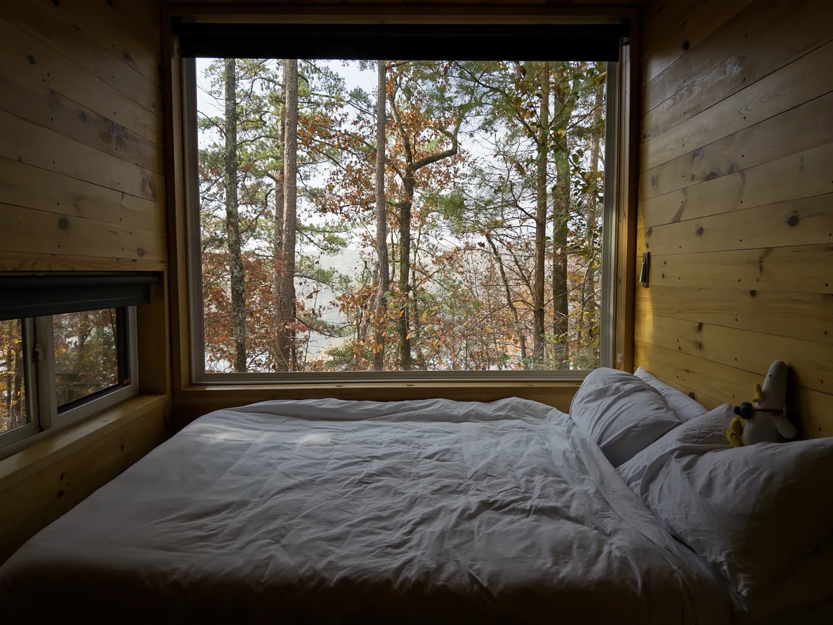 WTD enjoying a human-free moment in a tiny cabin near Childersburg, AL