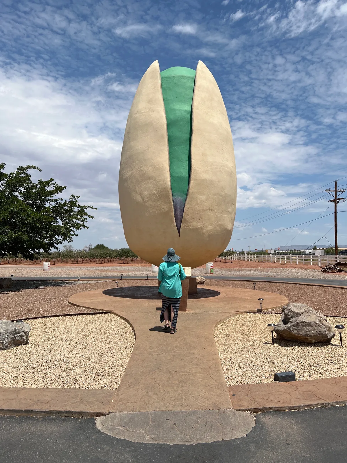 From July 2022, it’s the World’s Largest Pistachio in Alamogordo, NM.