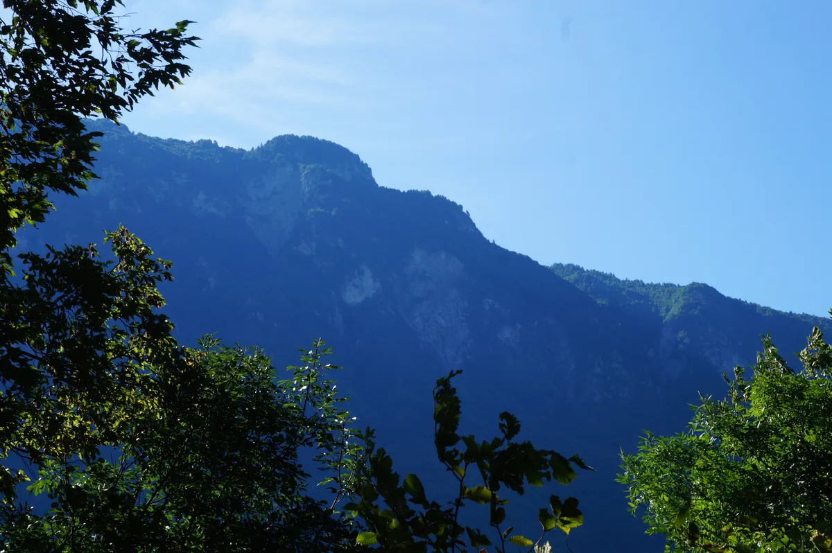 DSC05895