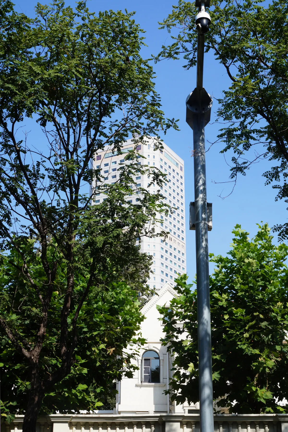 DSC08228