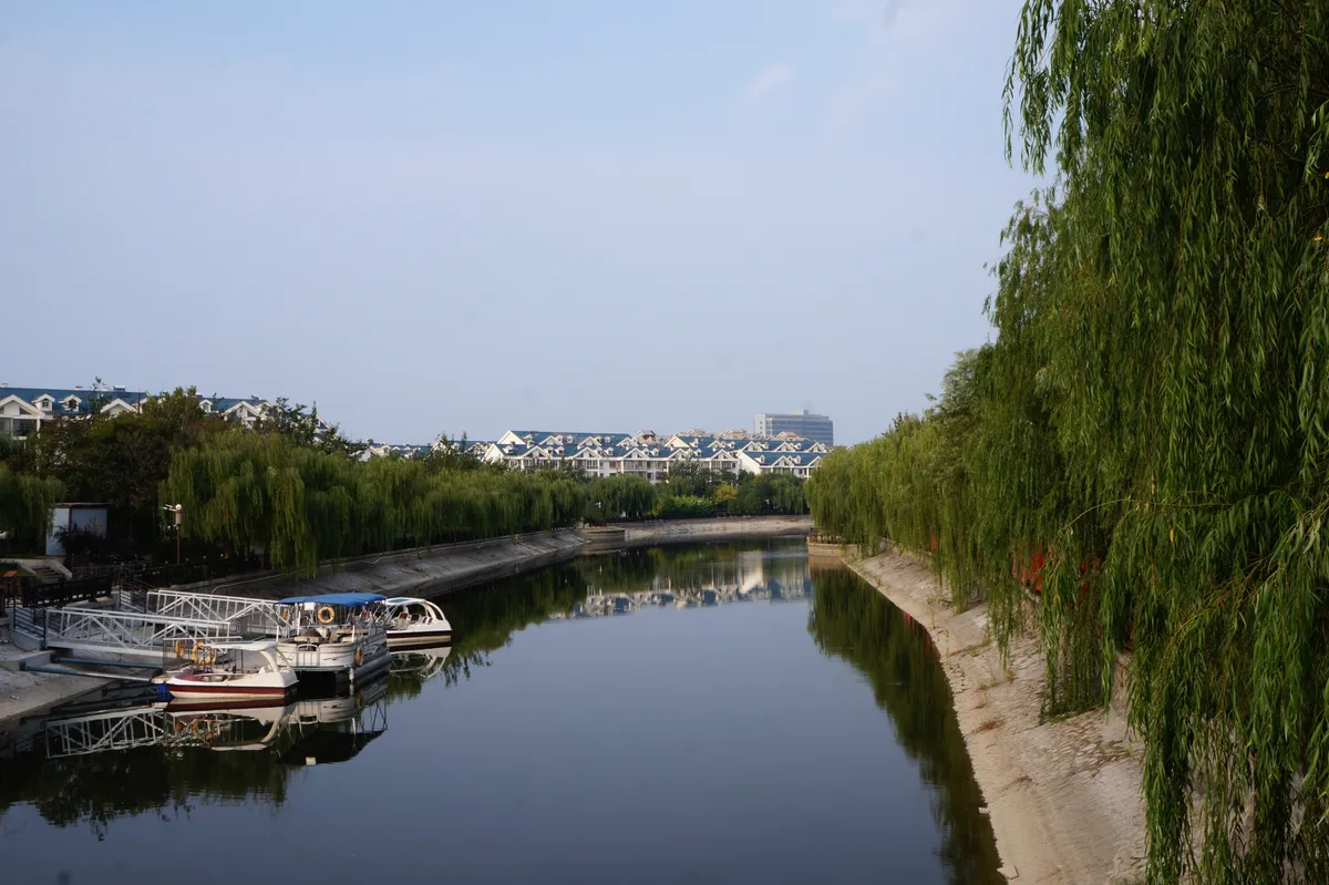 DSC08341