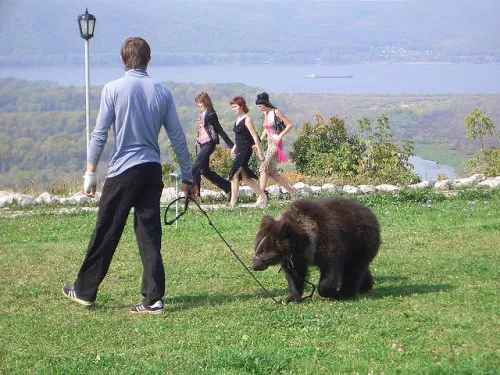 tumblr_nj18vau0su1u0q3xpo1_500