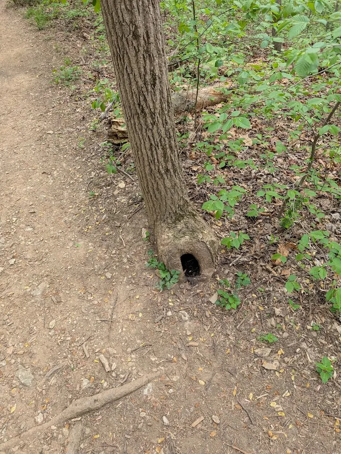 PXL_20260418_195347709