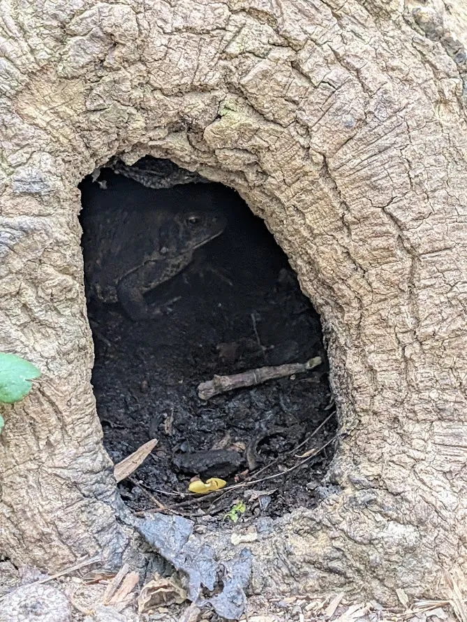 PXL_20260418_195420855