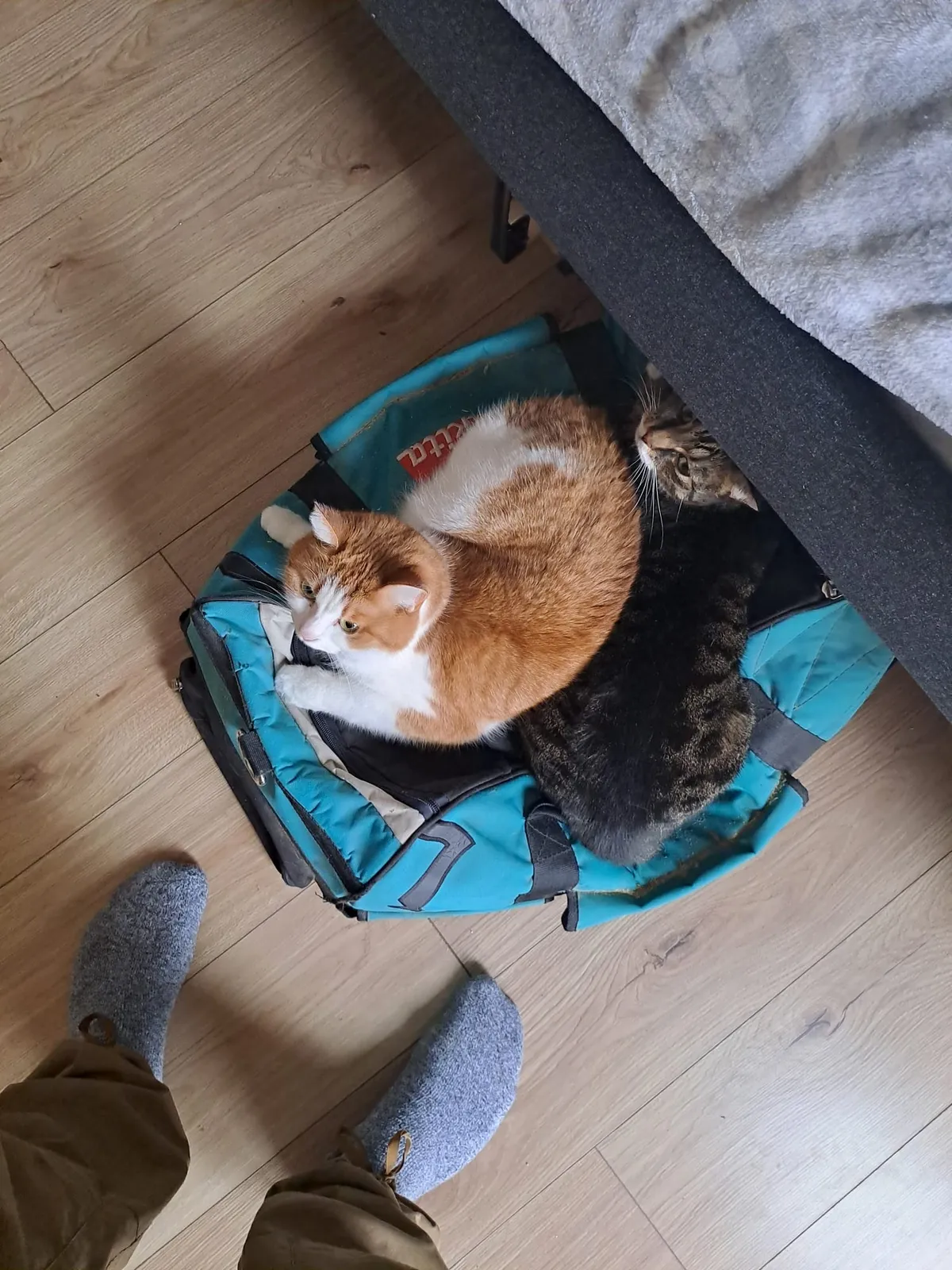 simon a pepinka na vercajku