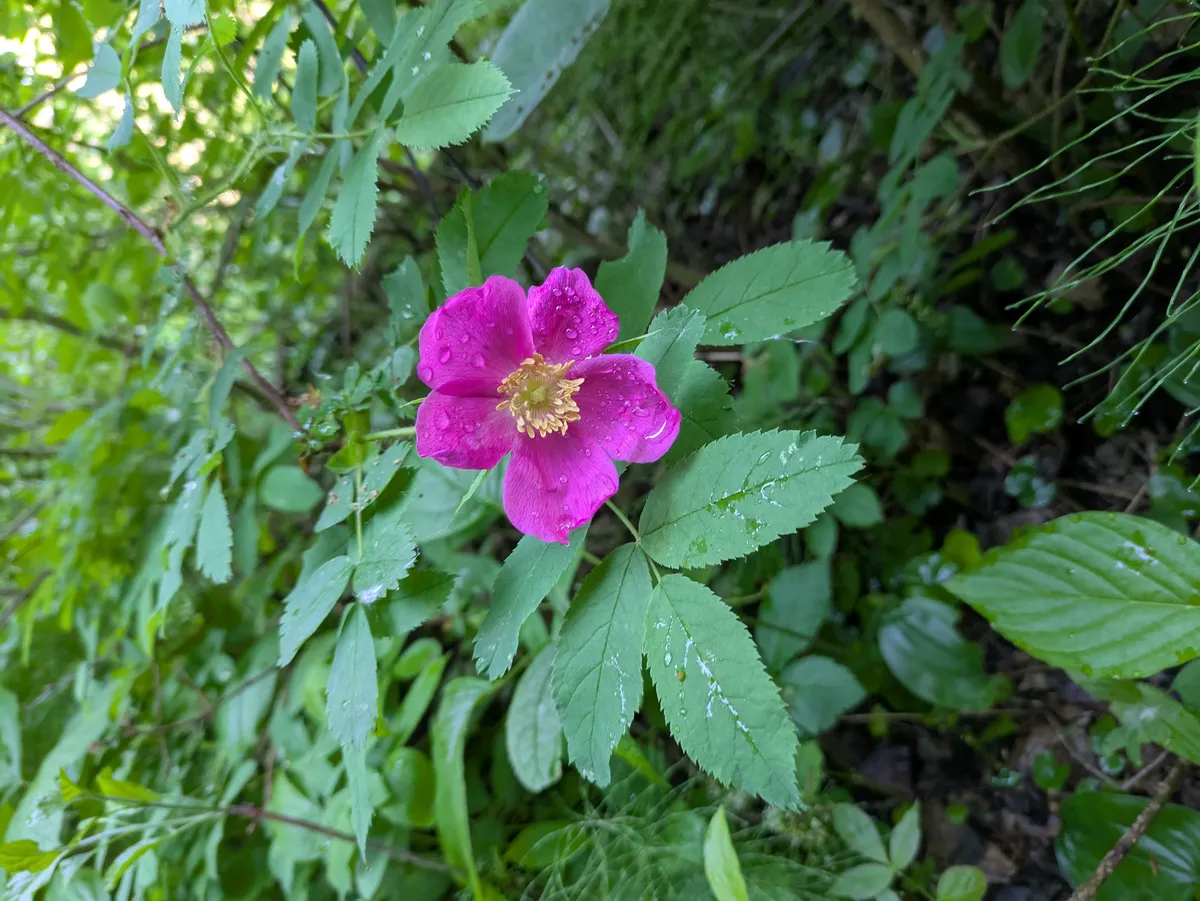 PXL_20260620_140846851