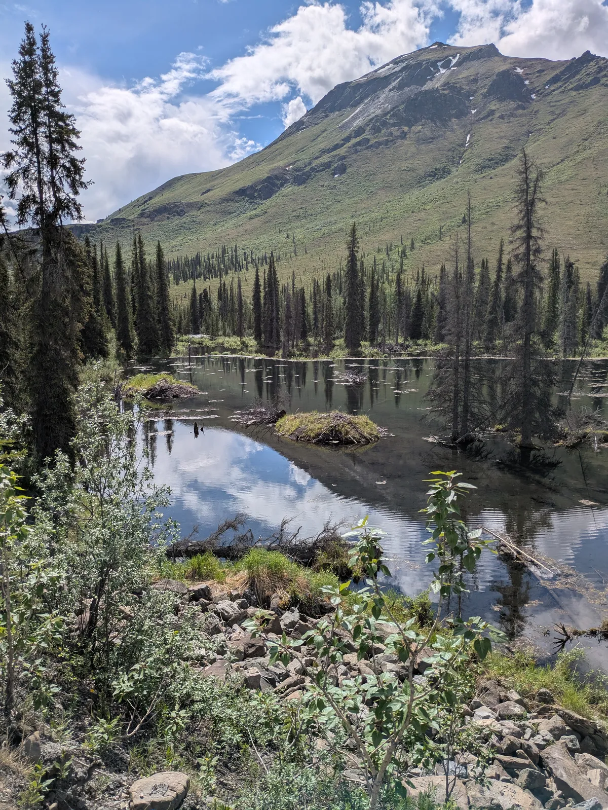 PXL_20260622_221649641
