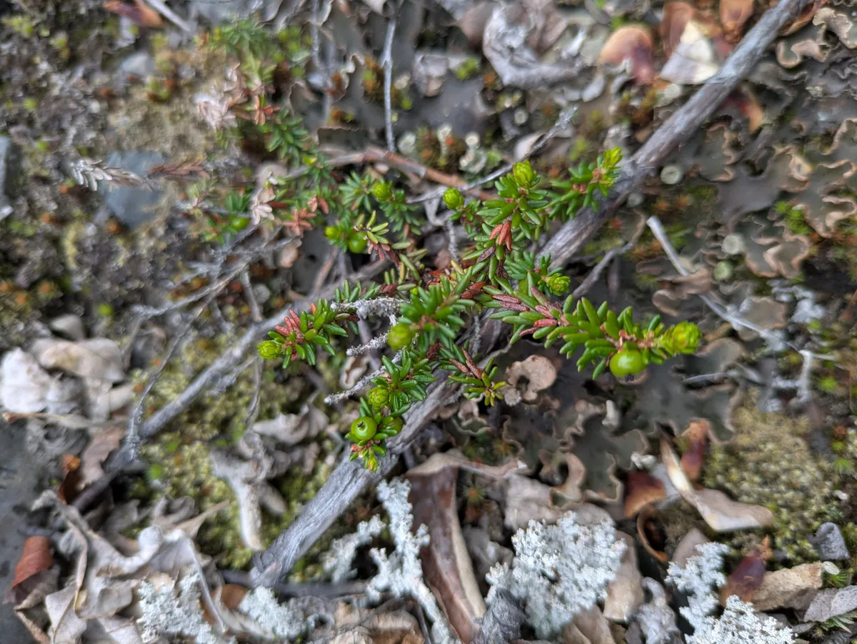 PXL_20260622_213225518