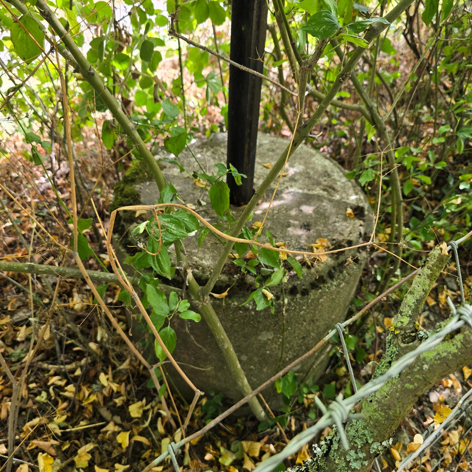 Anti tank bollard nr Teme valley Teme Anti tank
