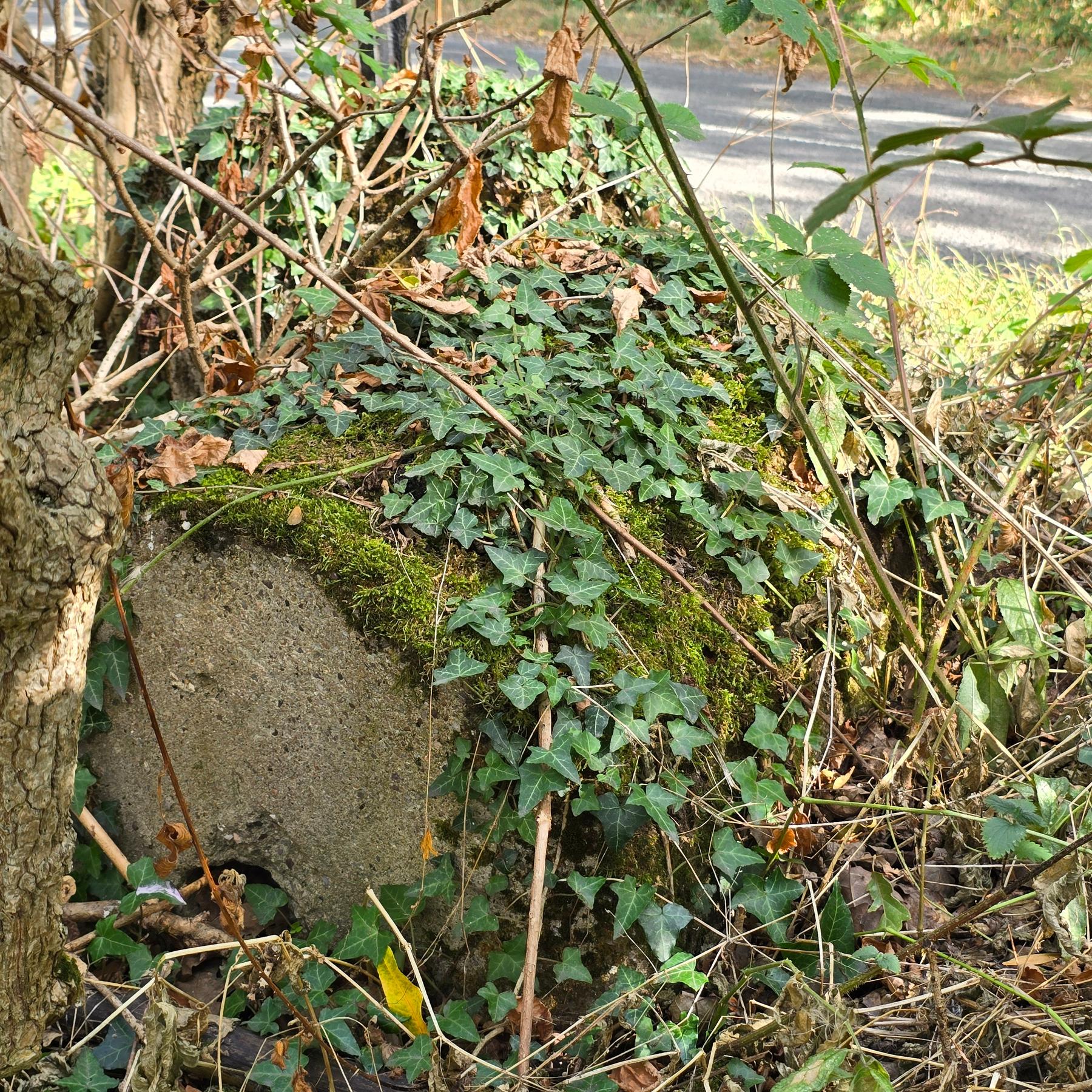 Anti tank bollard nr Teme valley Teme Anti tank