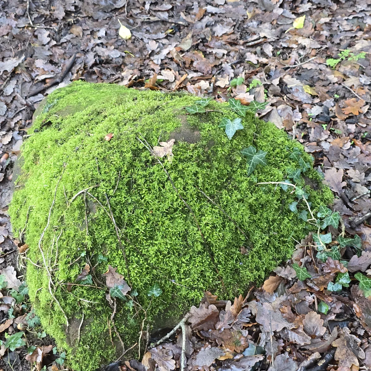 Sandstone anti tank cylinder