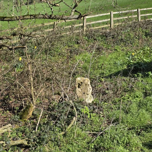 Possible small standing stone