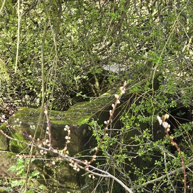 The older modern well head