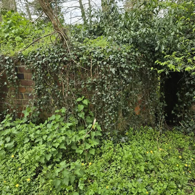The Pillbox