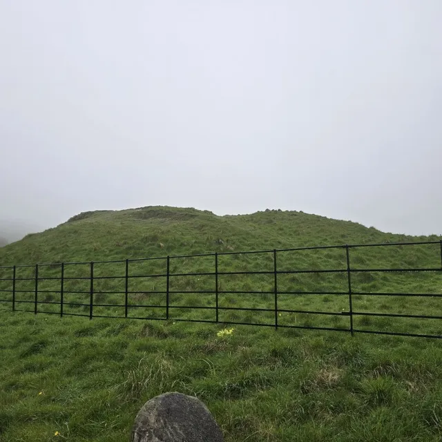 Martins down barrows