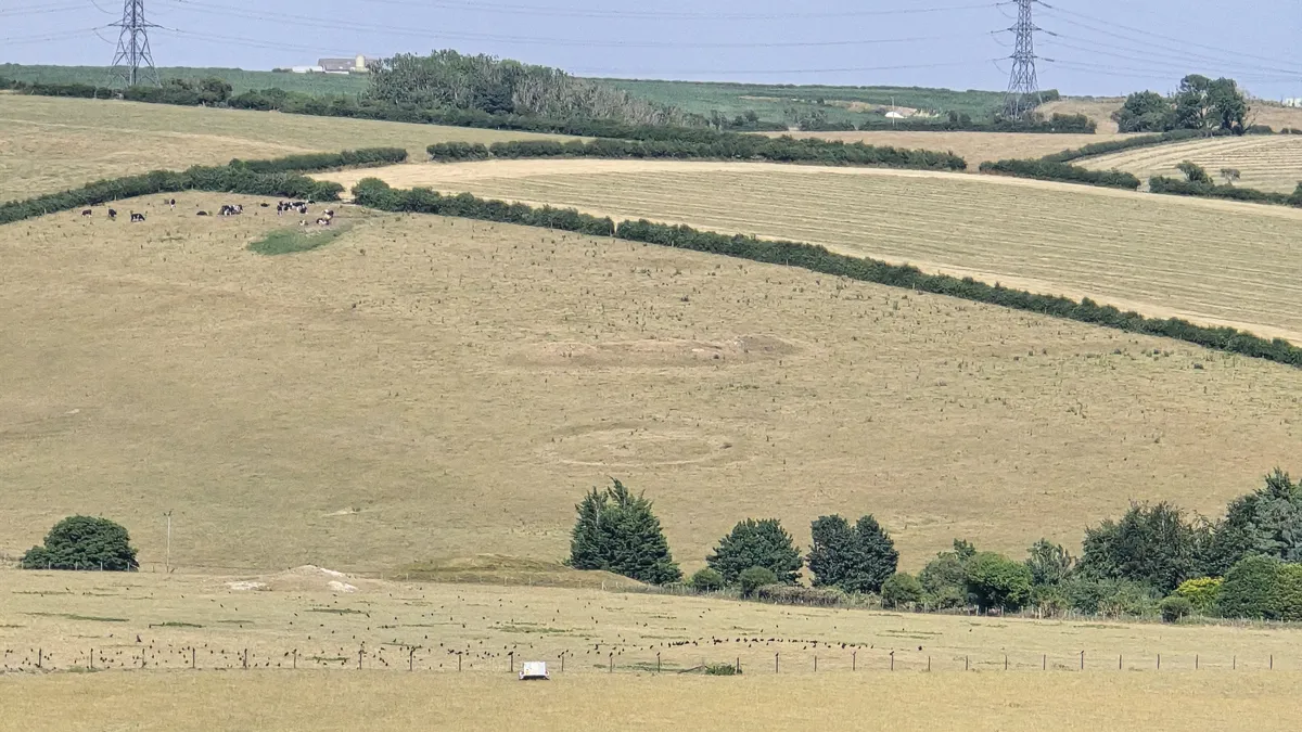 features on the landscape