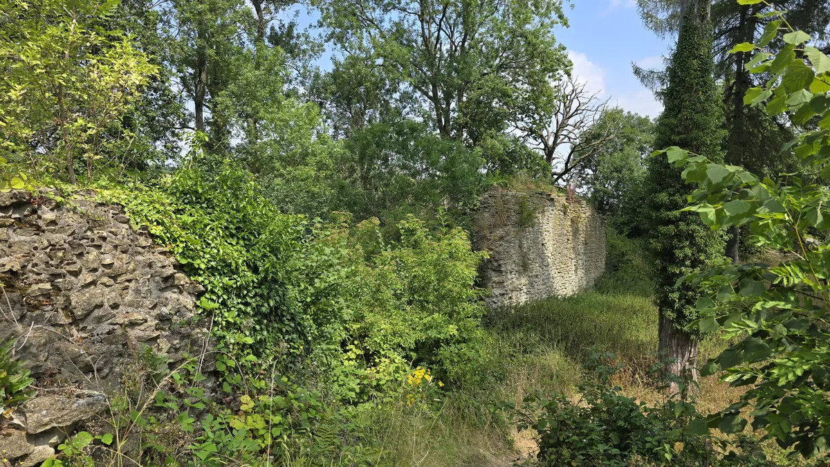 walls section