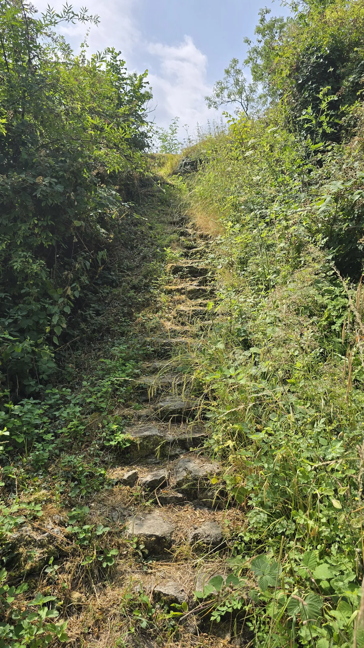 steps
