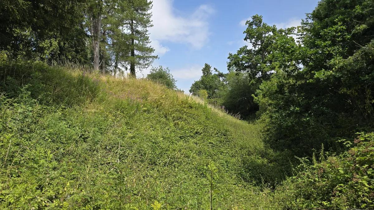 Ditch and motte