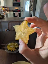 star_fruit