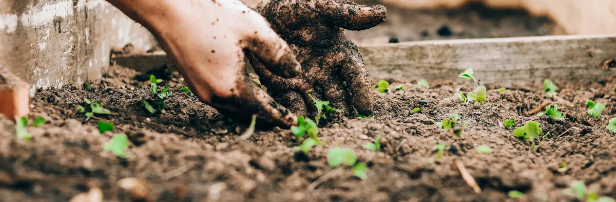 gardening