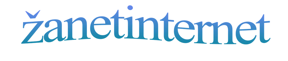 zanetinternet2