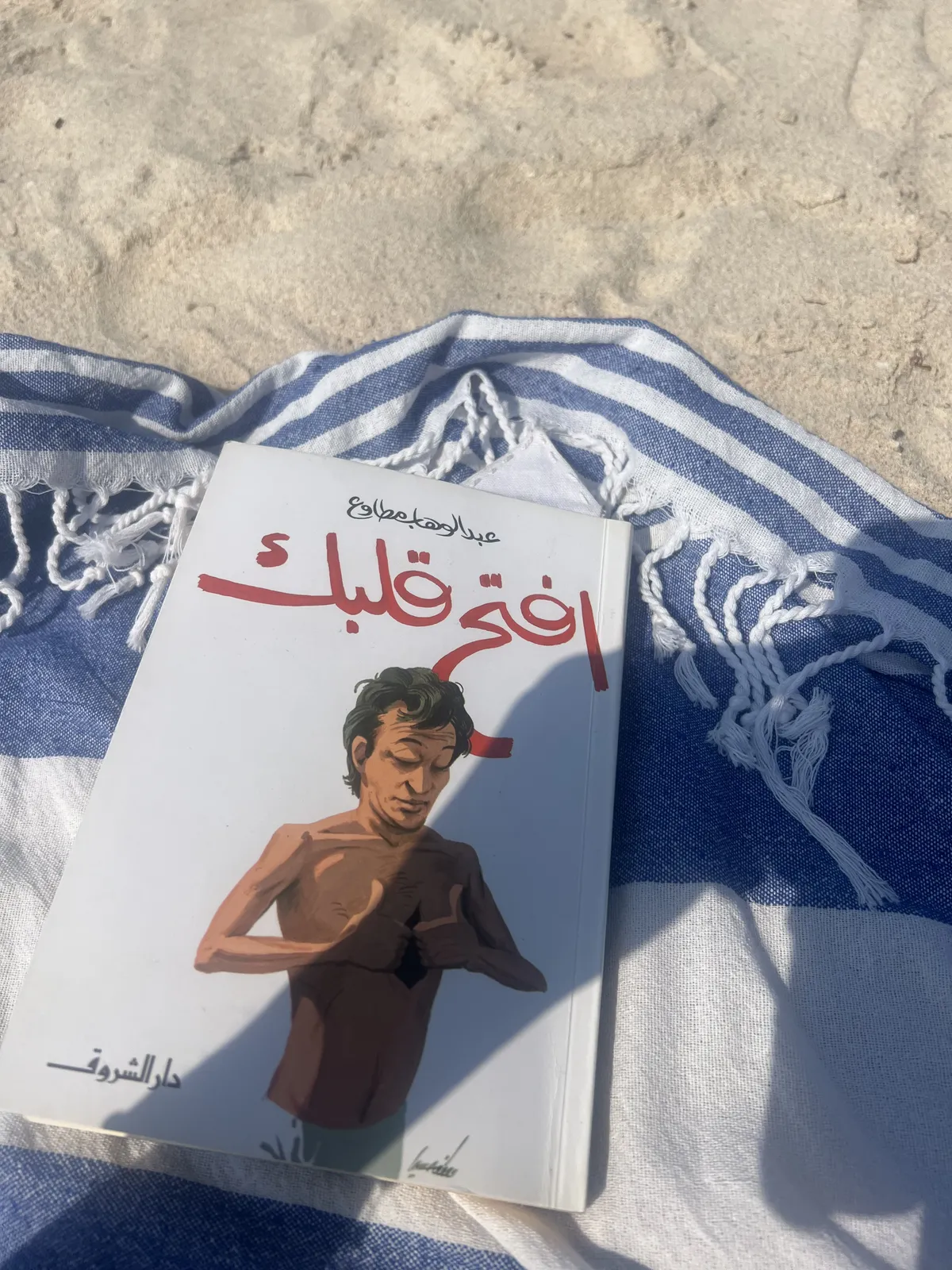 Book resting on a blue-and-white patterned beach blanket