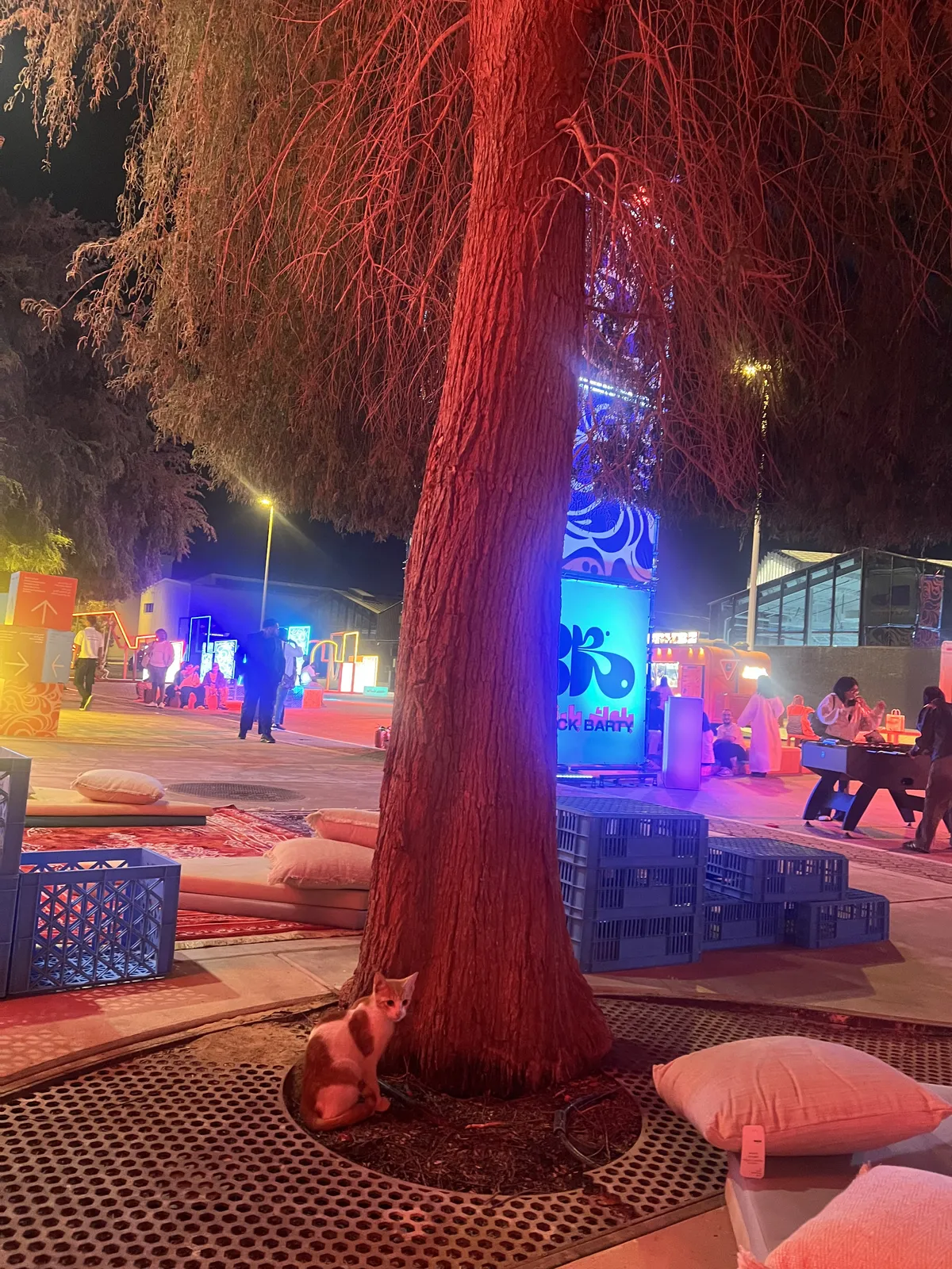 Big tree with a cat in the foreground, people socializing in the background