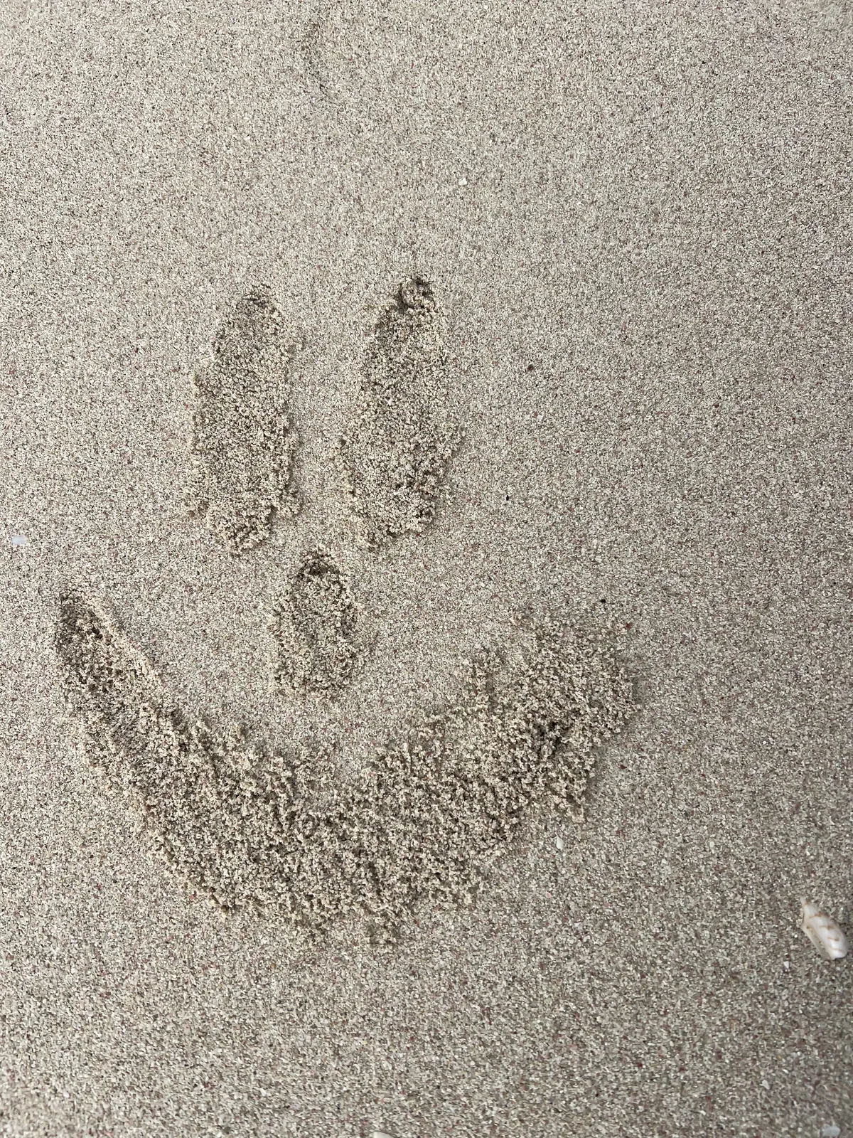 Smiley face drawn in the sand