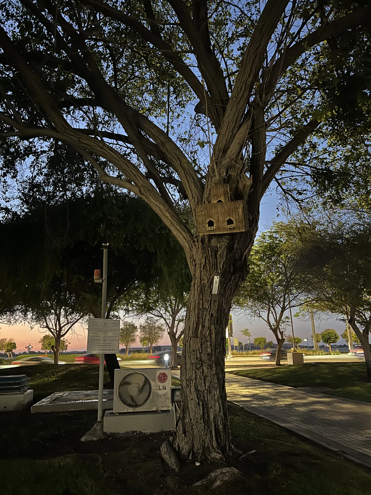 Birdhouse mounted on a large tree