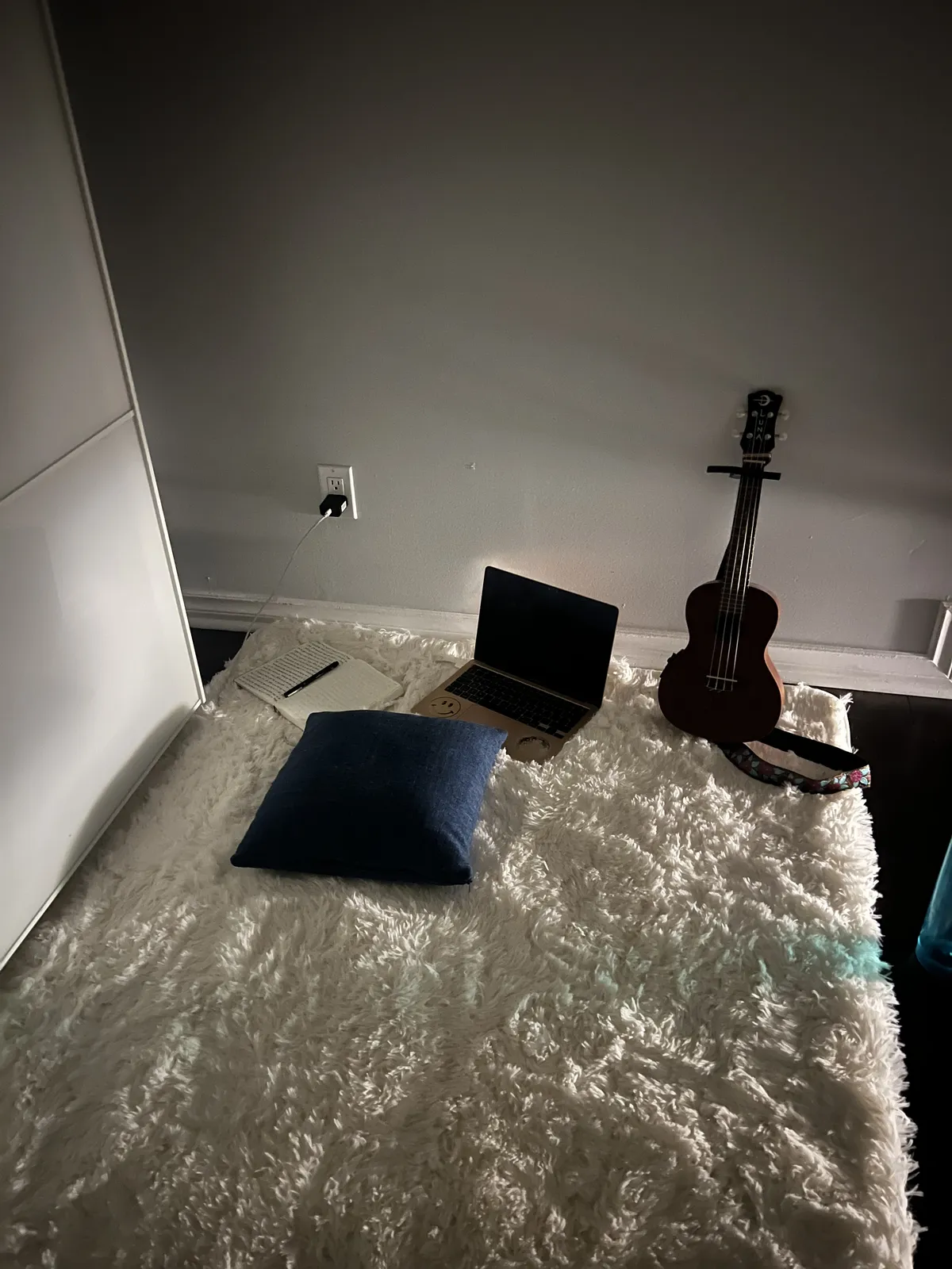 My laptop, notebook and ukulele on my bedroom rug