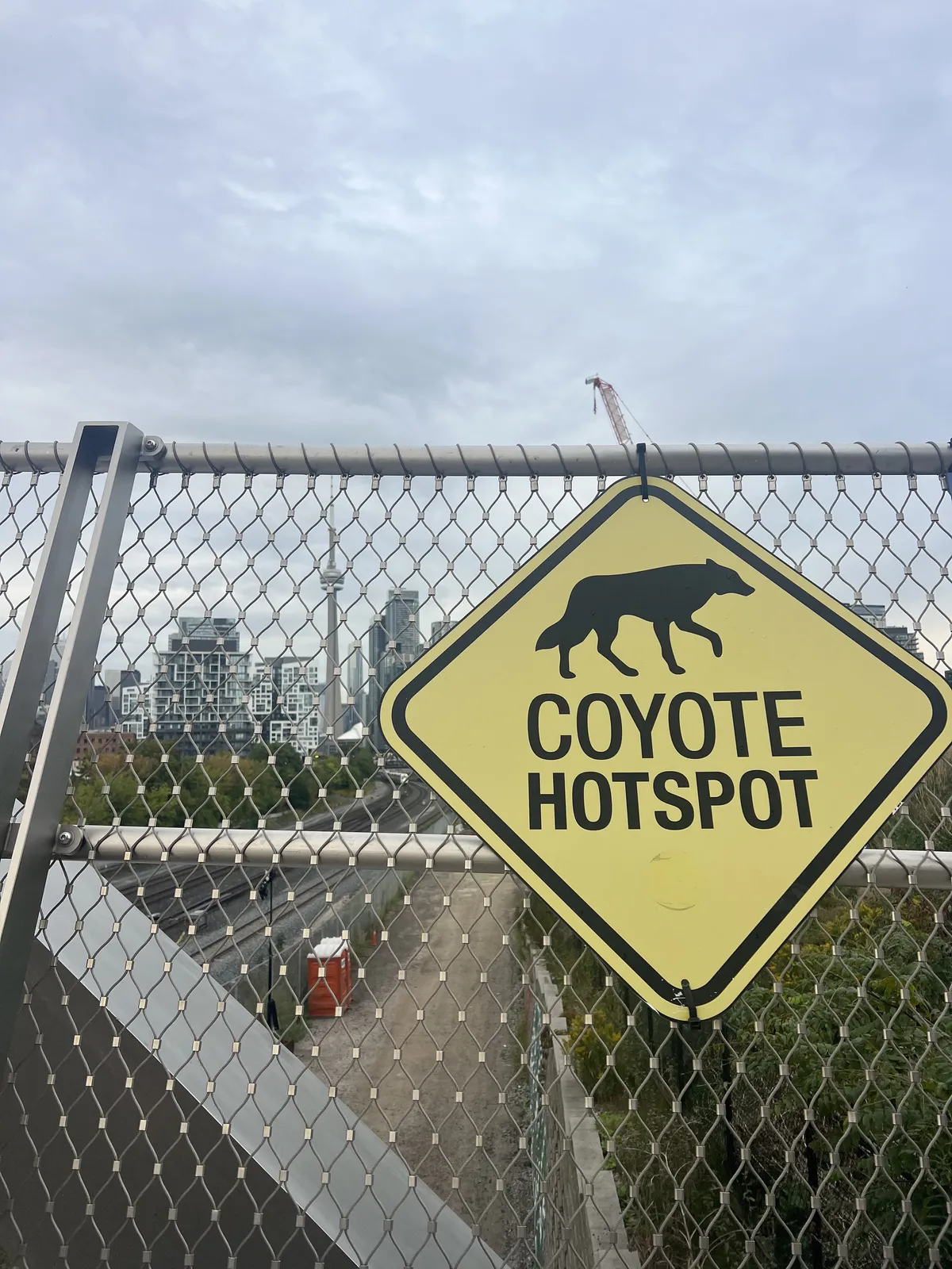 Sign reading COYOTE HOTSPOT