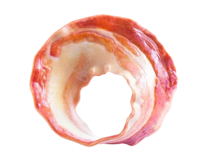 endless bacon