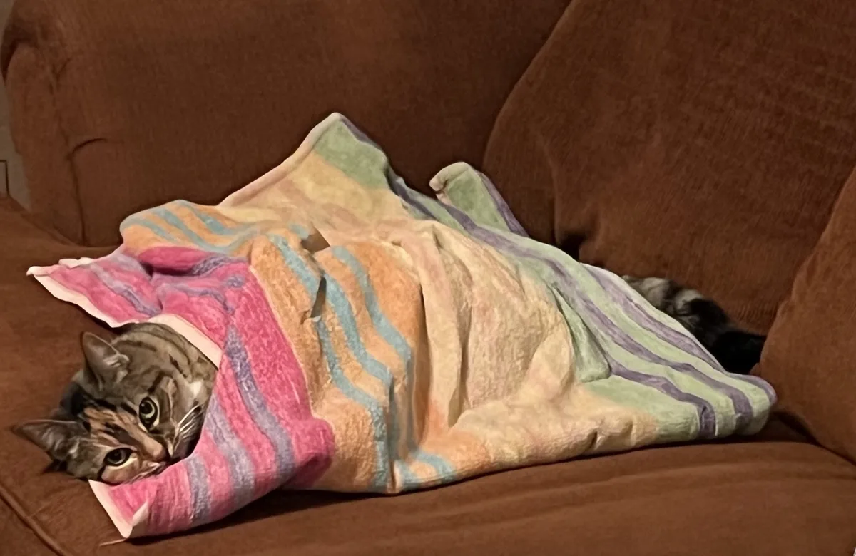 Kovu couch towel blanket