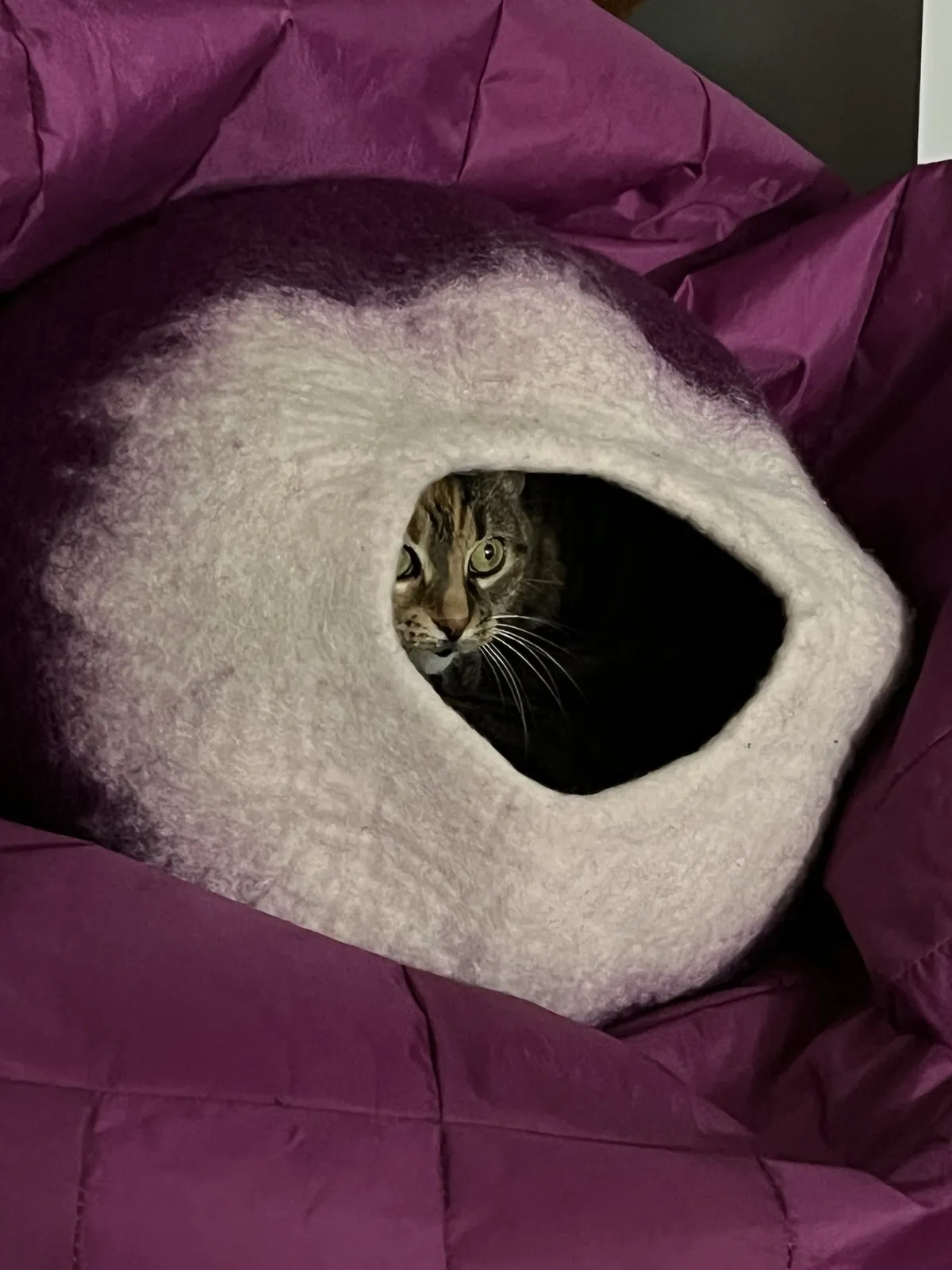 Kovu hidey hole
