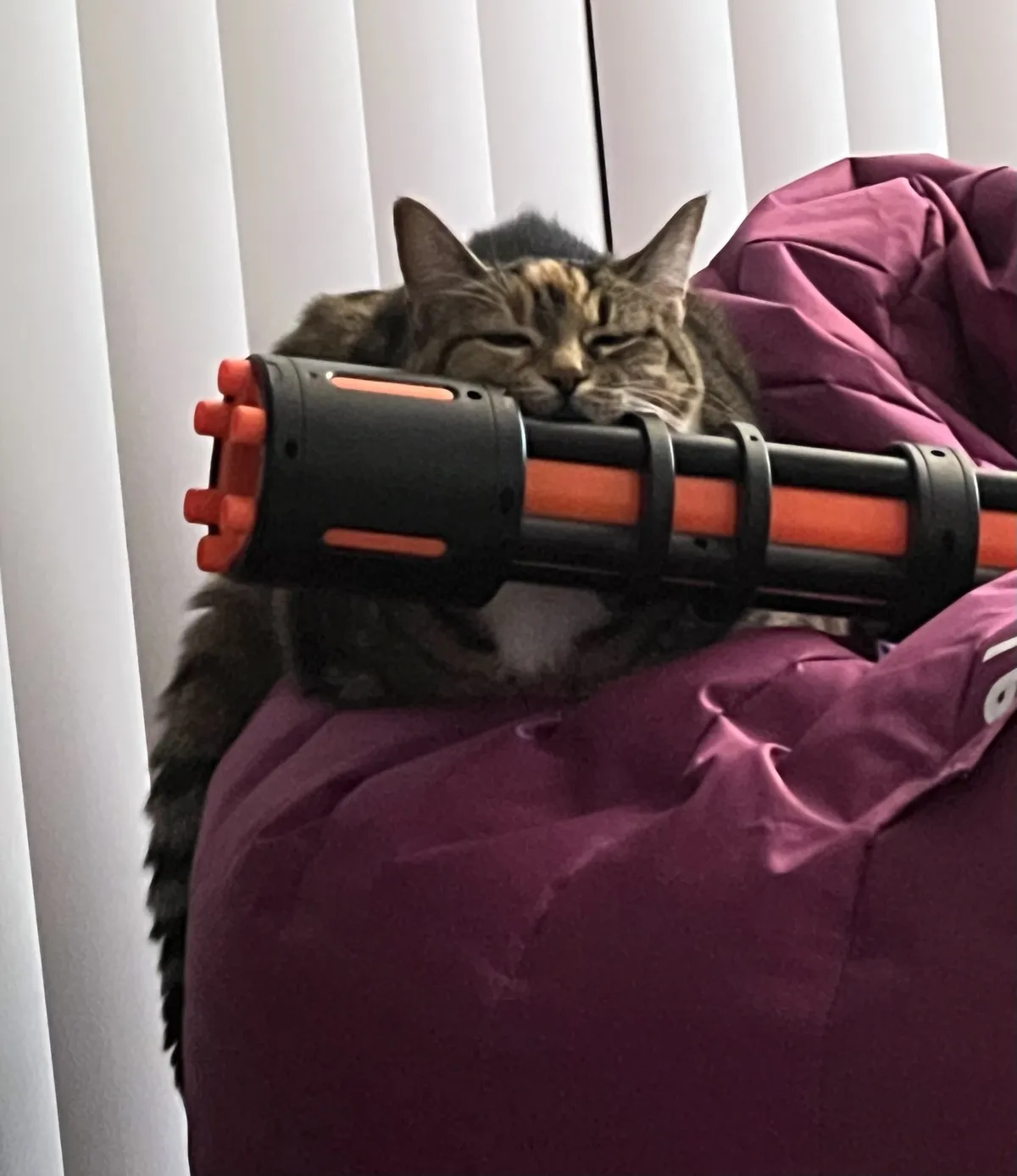 Kovu resting on nerf bazooka
